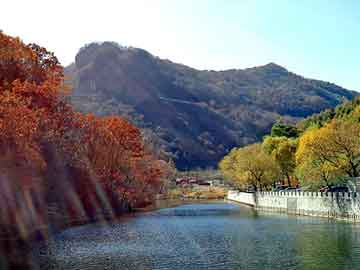 澳门二四六天天彩图库，池州黄页大全